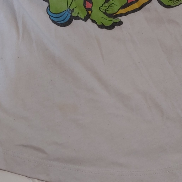 MightyFine Teenage Mutant Ninja Turtles raglan tee - Picture 4 of 6